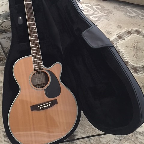 Takamine eg shop 460 sc