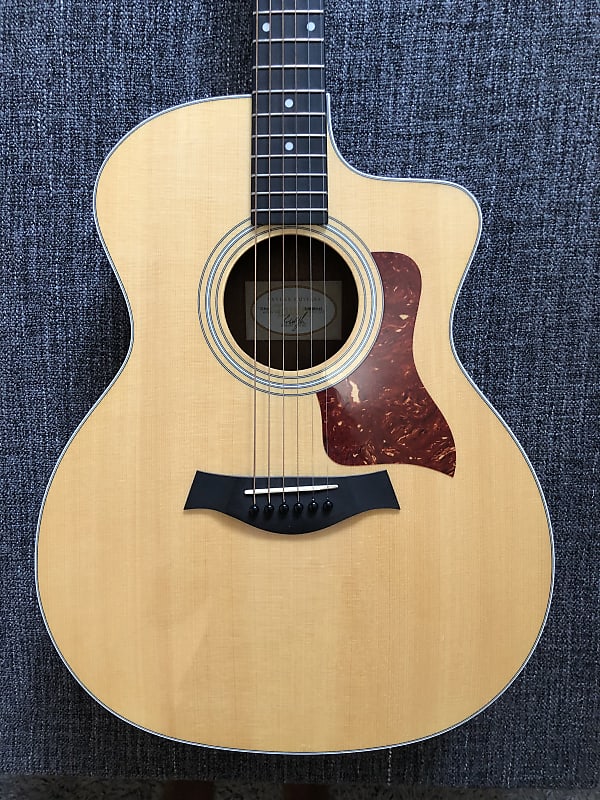 Taylor 214ce with its Special Hard Case image 1
