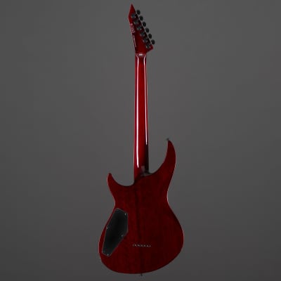 ESP LTD H3-1000 See Thru Black Cherry - Electric Guitar image 3