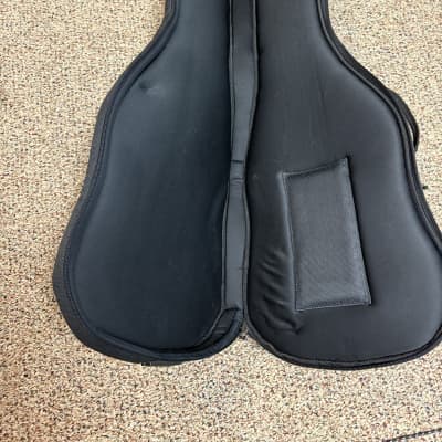 Parker Guitars Gig Bag from my 2000 Fly Classic image 2