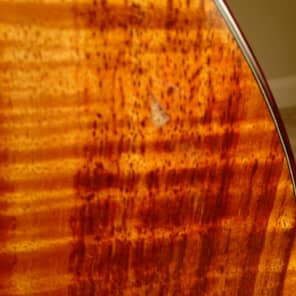 Taylor Fall Limited Edition 2008 GS Koa And Cocobolo Natural Acoustic Electric Guitar image 8