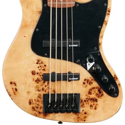 Michael Kelly Custom Collection Element 5R Electric Bass Guitar 5-String, PF - 348024 - 809164021773 image 1