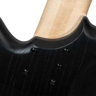 Elrick Standard Series e-volution 5-String Bass Black image 17