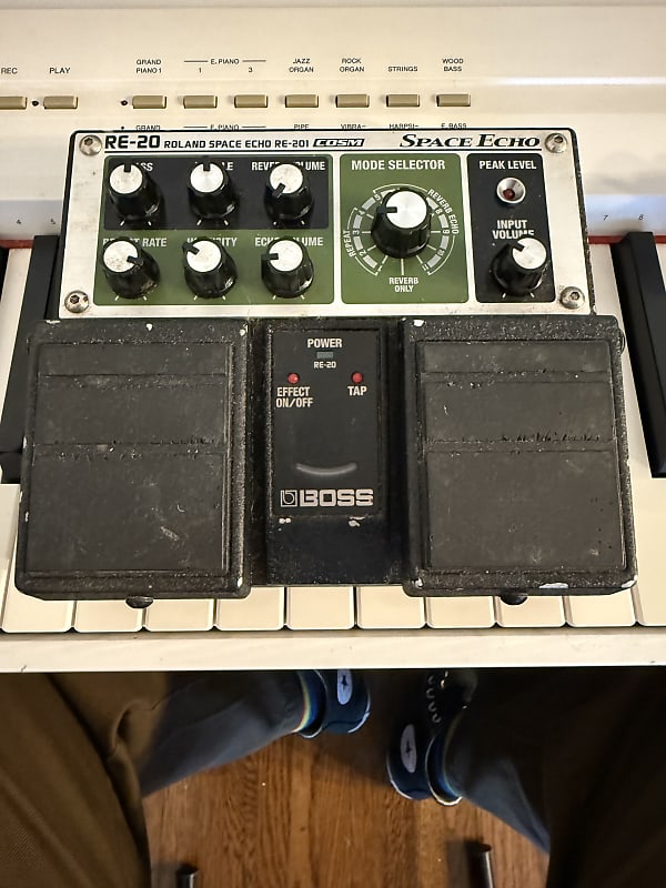 Boss RE-20 Space Echo