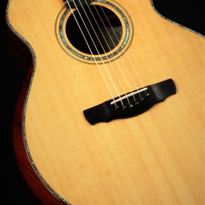 Ryan Cathedral Grand Fingerstyle - Sitka Spruce & Indian Rosewood 2003 *VIDEO* image 19