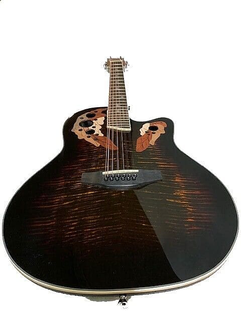 12 string deals roundback guitar