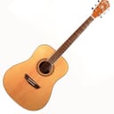 Washburn  WD7S-A Harvest Series Acoustic Guitar 2020