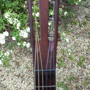 Circa 1900 Hayden's Boston Guitar - Brazilian Rosewood image 3