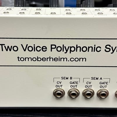 Oberheim TVS Pro - Two Voice Polyphonic Synthesizer 2016 - Cream and Black image 4