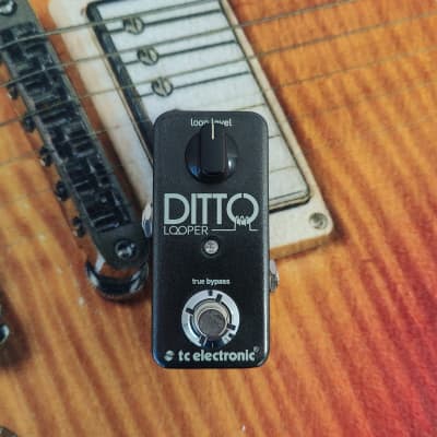 TC Electronic Ditto Looper 2023 - Present - Black for sale