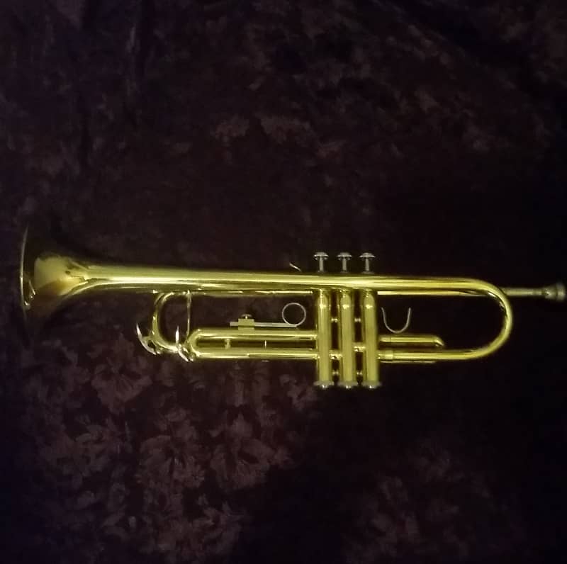 Weimar Trumpet 66283750 Brass with case