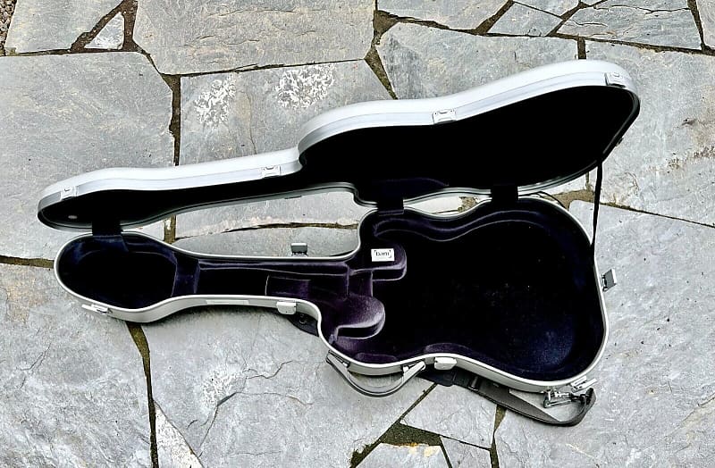 Best guitar case online for stratocaster