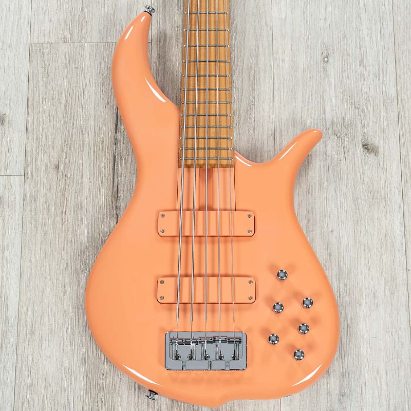 F Bass BN5 | Reverb