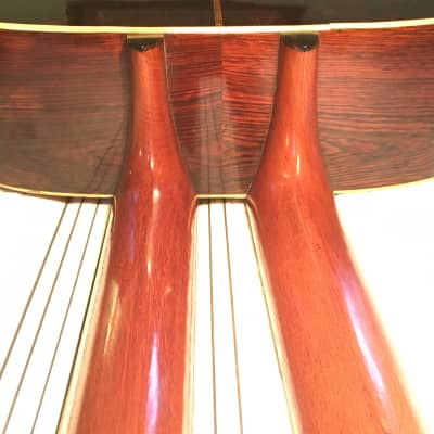 RARE Vintage Weymann Harp Guitar One of a kind(?) Rosewood and Spruce image 10