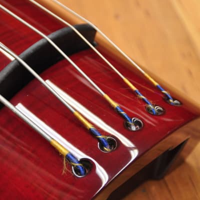 NS Design WAV5c Double Bass Trans Red image 7