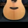 Breedlove Stage Dreadnought 2014