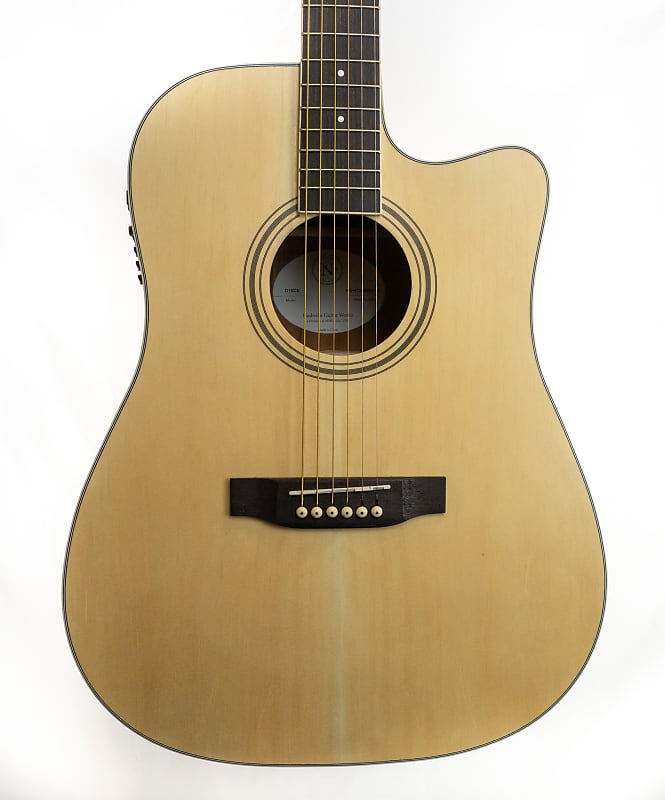 Nashville Guitar Works D10CE dreadnought cutaway electric Reverb