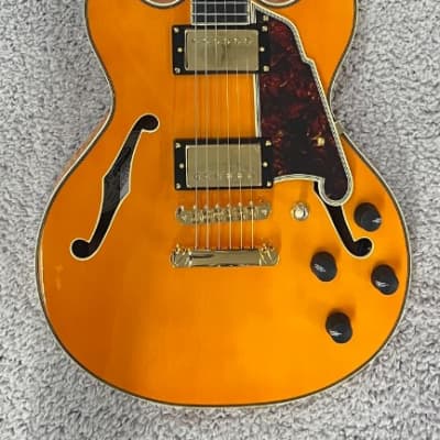 D'Angelico Excel Mini DC | Reverb