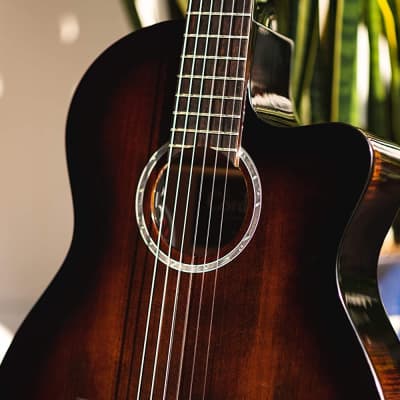 Cordoba Fusion 5 Sonata Burst Acoustic-Electric Cutaway Nylon String Guitar, Fusion Series image 11