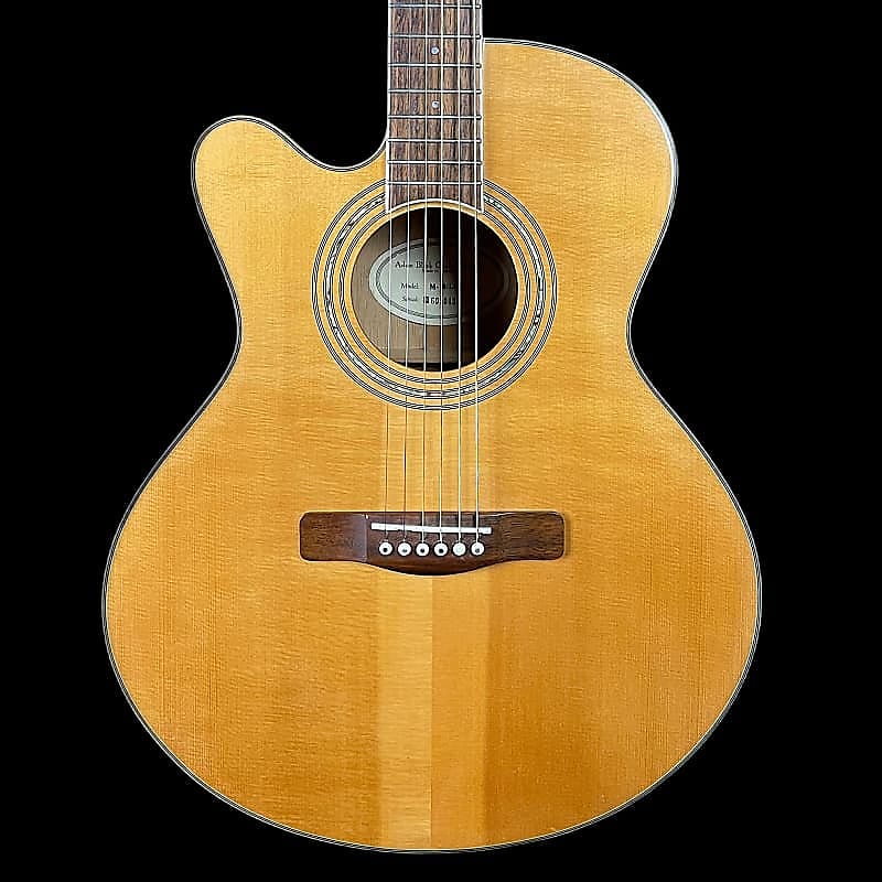 Adam Black M-10 LH Electro Acoustic Guitar image 1