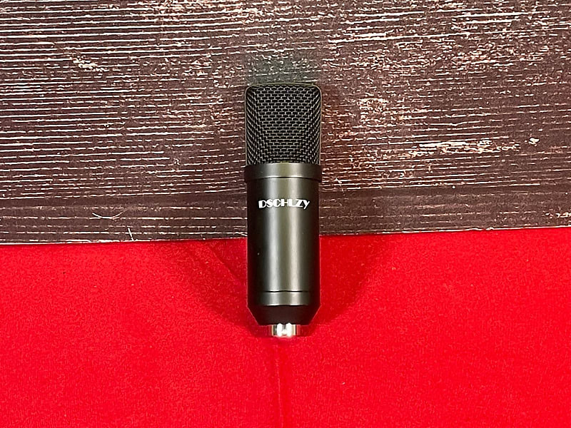 DSCHLZY Condenser Microphone(Queens, NY) Reverb