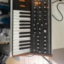 Moog Subsequent 25 Analog Synth