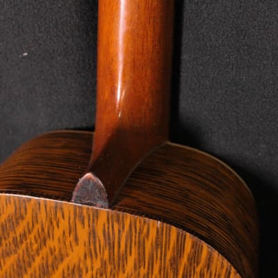 Regal circa 1900 Mandolinetto Spruce/Oak/Brazilian Rosewood image 11