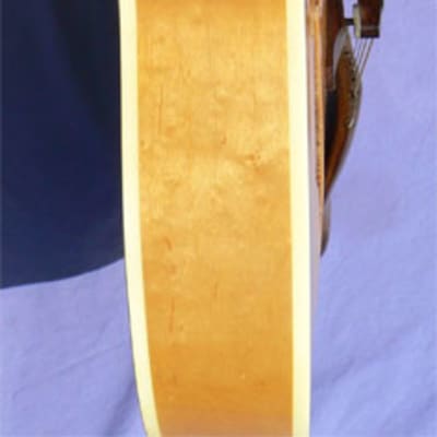 c. 1984 Fender  D'Aquisto Standard, Highly Figured 16" Birdseye Maple Body,  Twin Humbuckers, Showroom Condition! image 9