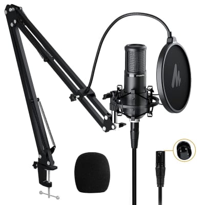  FIFINE USB Microphone, Metal Condenser Recording Microphone for  Laptop MAC or Windows Cardioid Studio Recording Vocals, Voice  Overs,Streaming Broadcast and  Videos-K669B : Musical Instruments