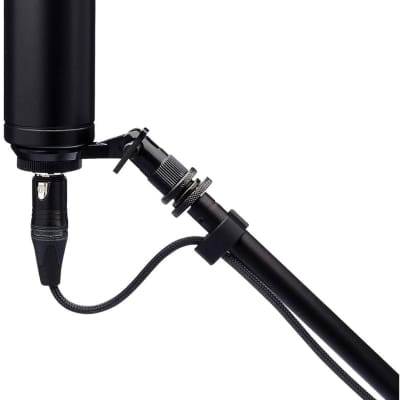 Warm Audio WA-47Jr Large-Diaphragm Condenser Microphone - Black image 7