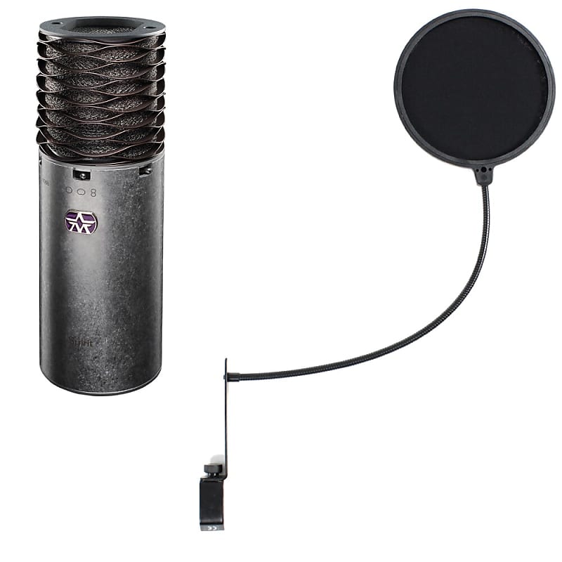 Microphone à condensateur professionnel avec filtre anti-pop et