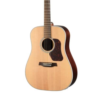 WALDEN D800E Natura All-Solid Sitka/Rosewood Dreadnought Acoustic-Electric - Satin Natural image 1
