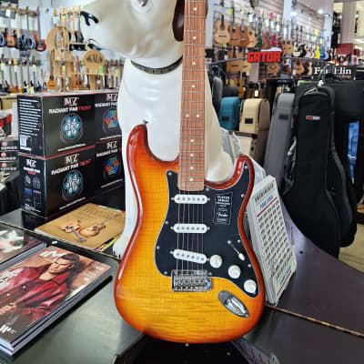Fender Player Stratocaster Plus Top with Pau Ferro Fretboard 2018 - Present - Tobacco Sunburst image 1