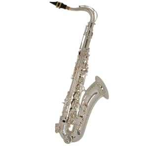 Selmer TS500S Student Model Tenor Saxophone