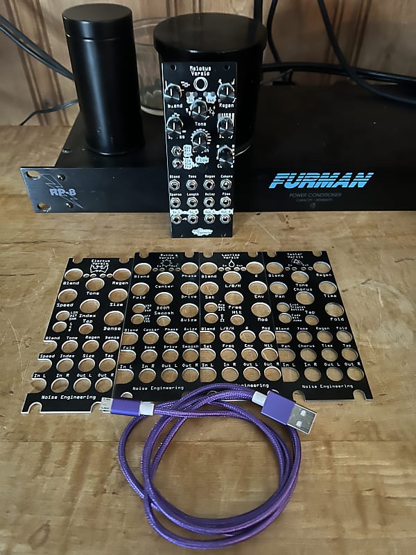 Noise Engineering Melotus Versio