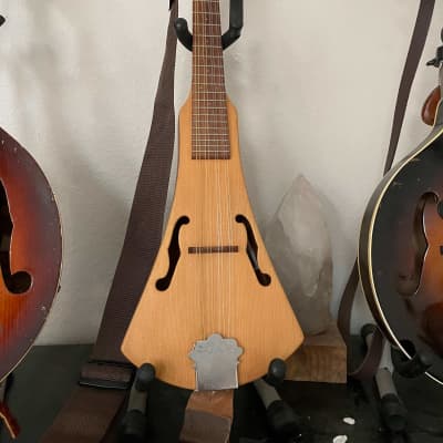 【激レア】Martin backpacker mandolin