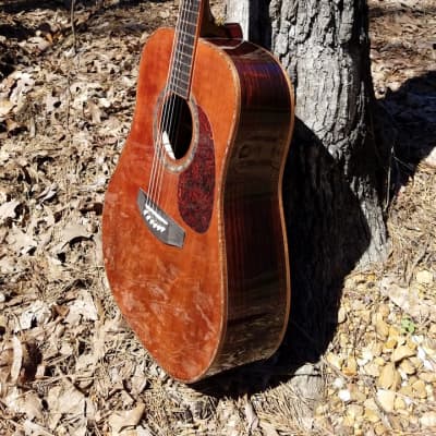 Crystal Forest CFSS Custom Shop Sitka Spruce / Rosewood Dreadnought 2019 Reddish brown image 5