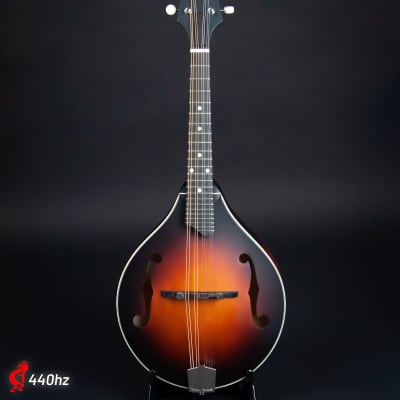 Gold Tone Model GM-A+ 8 String Rigel A-Style Mandolin, Solid Maple - NEW |  Reverb Cyprus