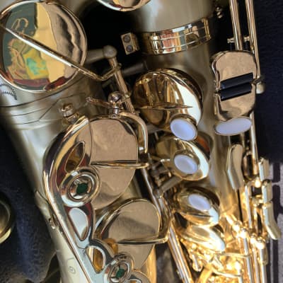 Kessler Custom Matte alto saxophone with case great shape image 8