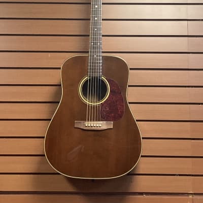 Martin D-19 Dreadnought in Brown 1977 w/HSC for sale