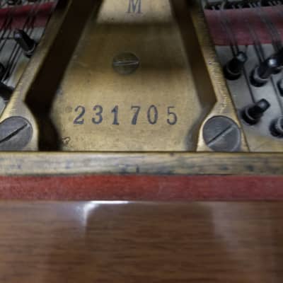 Steinway M Grand Piano image 3