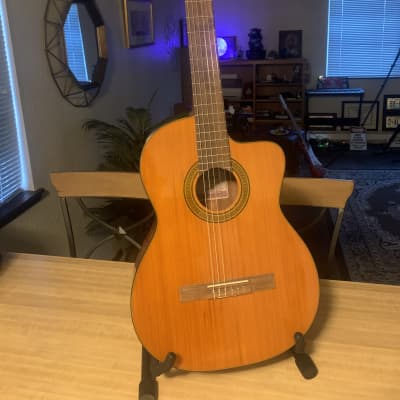 Takamine EG124C G Series Cutaway Acoustic-Electric Classical | Reverb