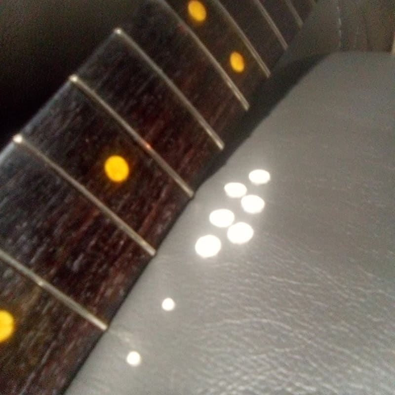 Precbs "clay dot" inlays Reverb
