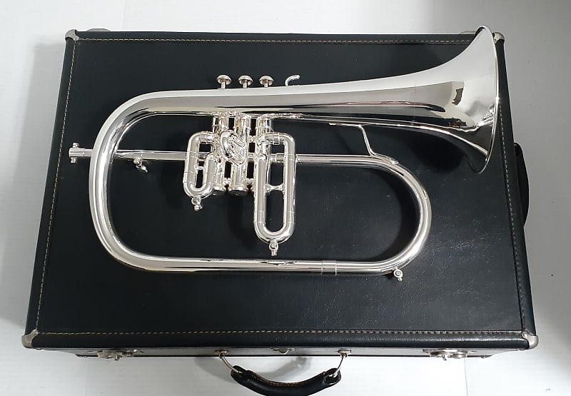 Getzen ETERNA 895S- 3 Valve FLUGELHORN , Mouthpiece & 2 Handle Combo Hard  case . 1972-1975 - Silver plated