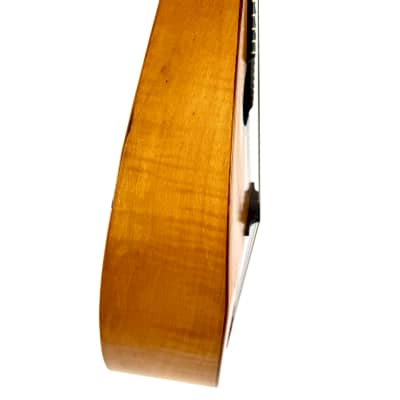 Concert Mandolin Flat-Back Emanuele Egildo N°840 from 1927 image 6