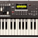 Hammond Sk1-73 73-key Combo Organ
