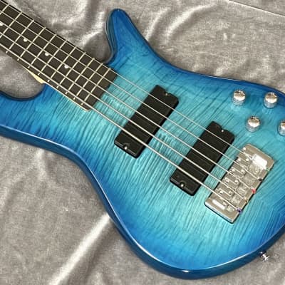 new】Spector / Legend 5 Standard Blue Stain Gloss