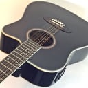 Oscar Schmidt OD312CE 12-String Acoustic-Electric Guitar Black Pro Set Up!