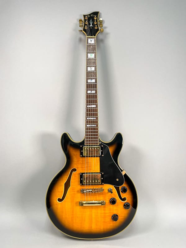 Jay Turser JT134DC Semi Hollow Sunburst 339 Style Electric Guitar MIK image 1
