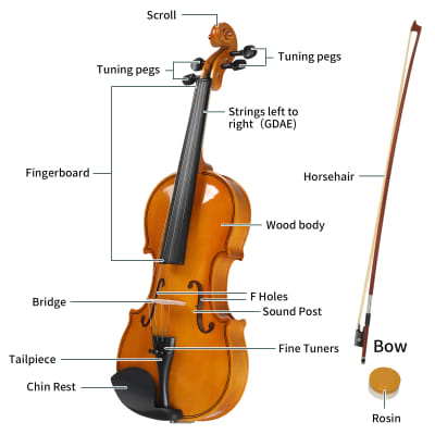Full Size 4/4 Violin Set for Adults Beginners Students with Hard Case, Violin Bow, Shoulder Rest, Rosin, Extra Strings 2020s - Natural image 4
